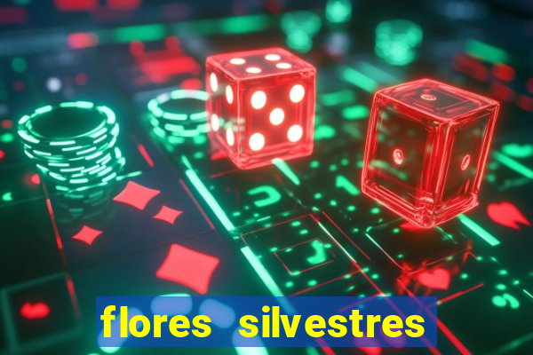 flores silvestres desbravadores desbravadores 25